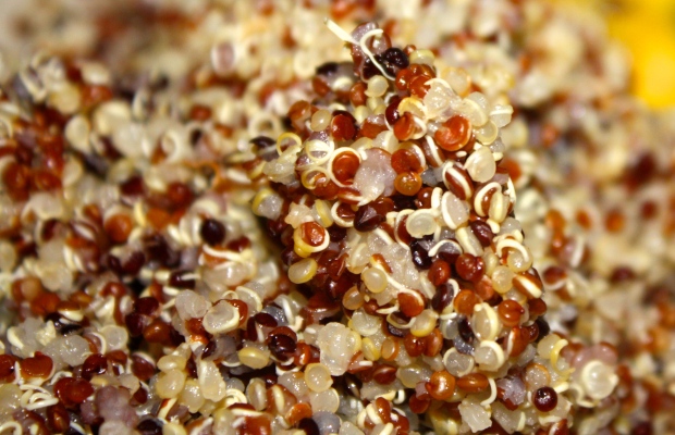 Oh man. Even more stuff!! Wait, that's quinoa. PERTINENCY ALERT! Image By Kimberly Sabada
